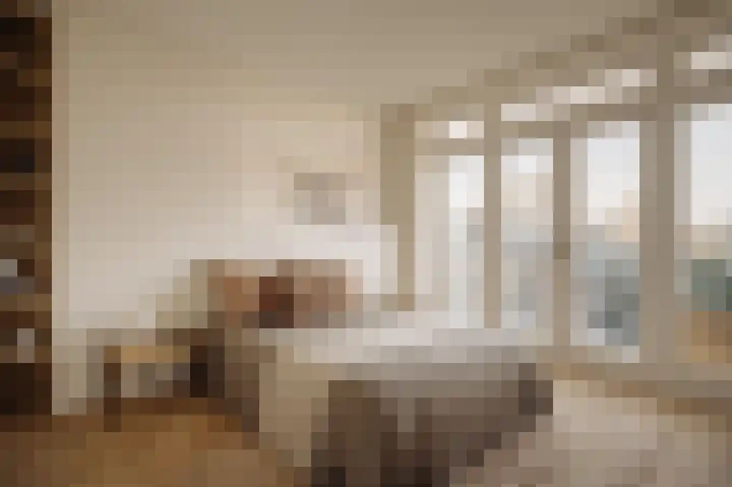 Valeriusterras 5 D Amsterdam thumbnail 24