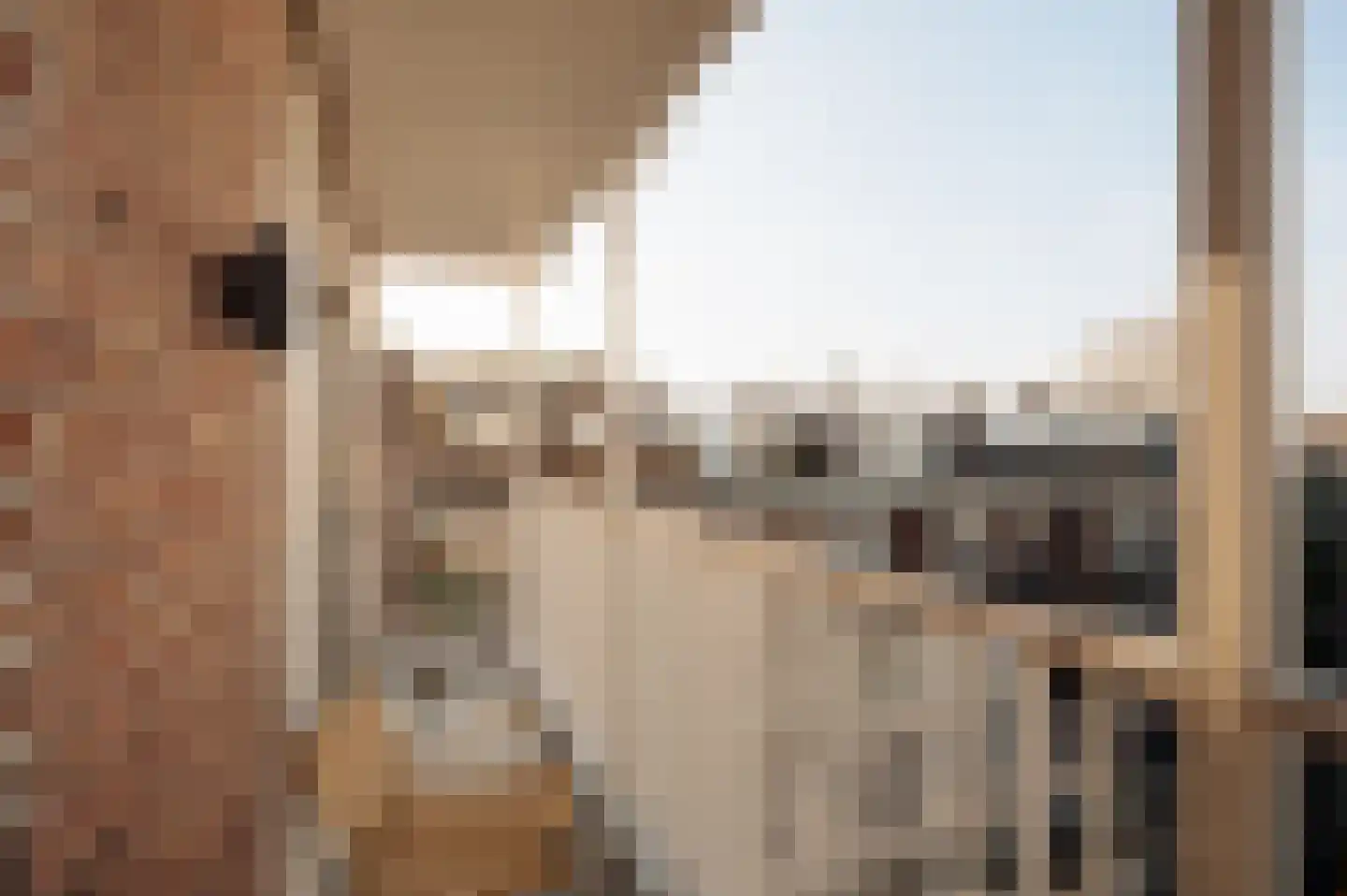 Valeriusterras 5 D Amsterdam thumbnail 26