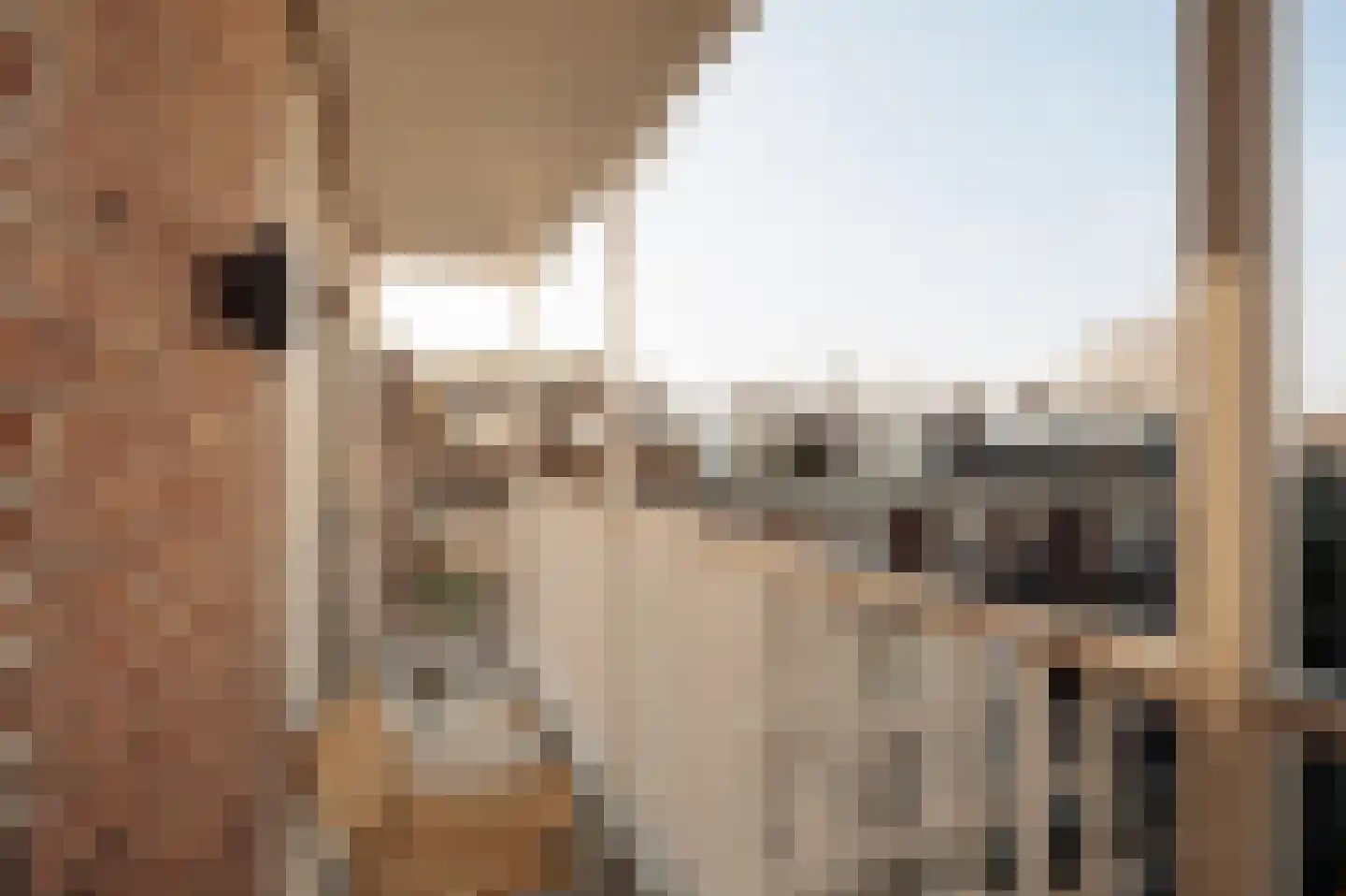 Valeriusterras 5 D Amsterdam thumbnail 28