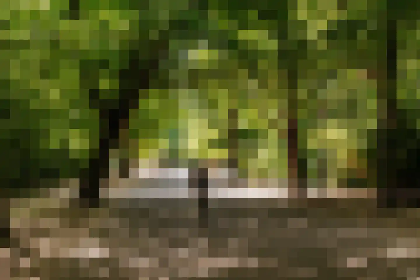 Valeriusterras 5 E Amsterdam thumbnail 32