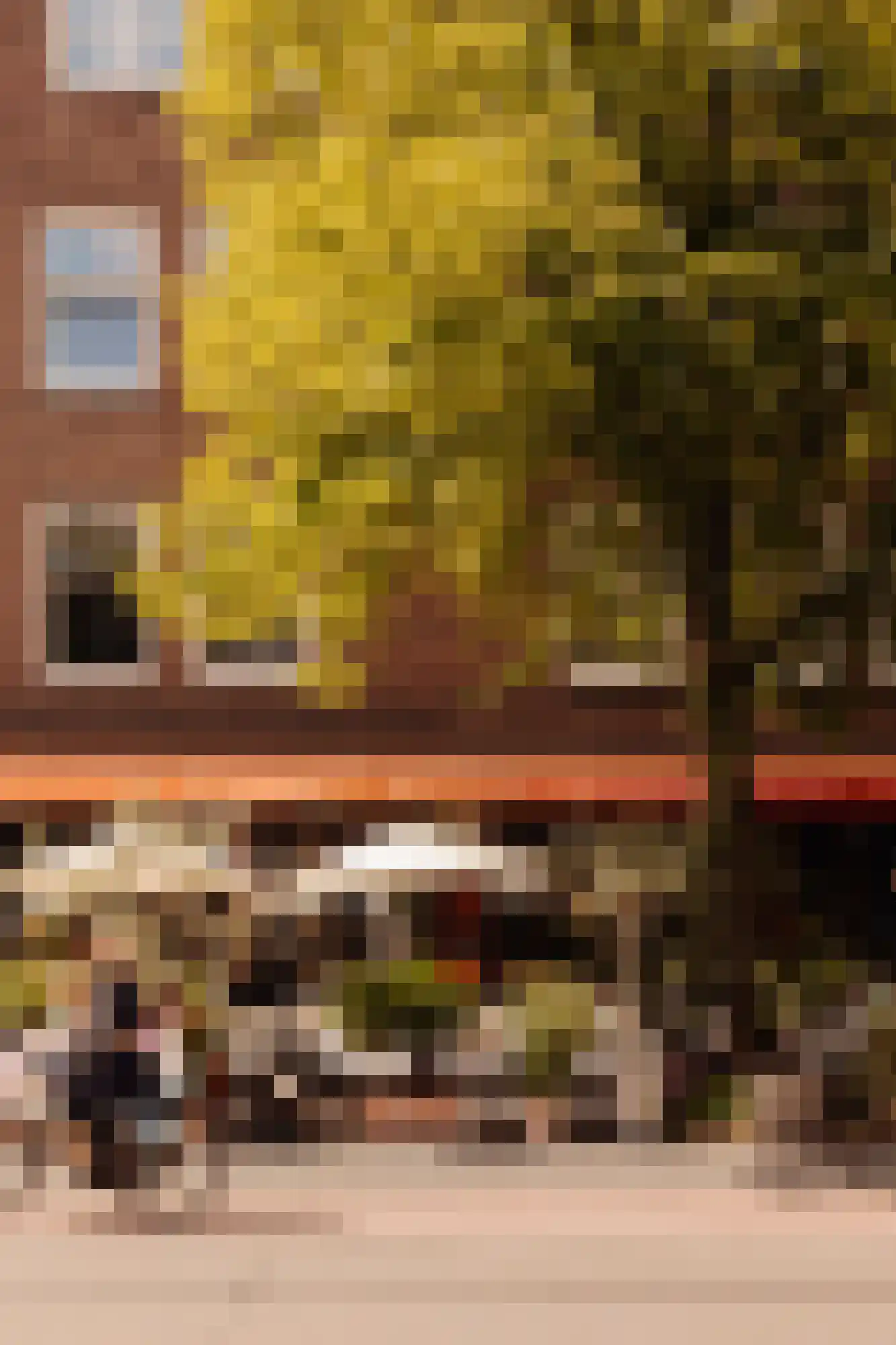 Valeriusterras 5 E Amsterdam thumbnail 33