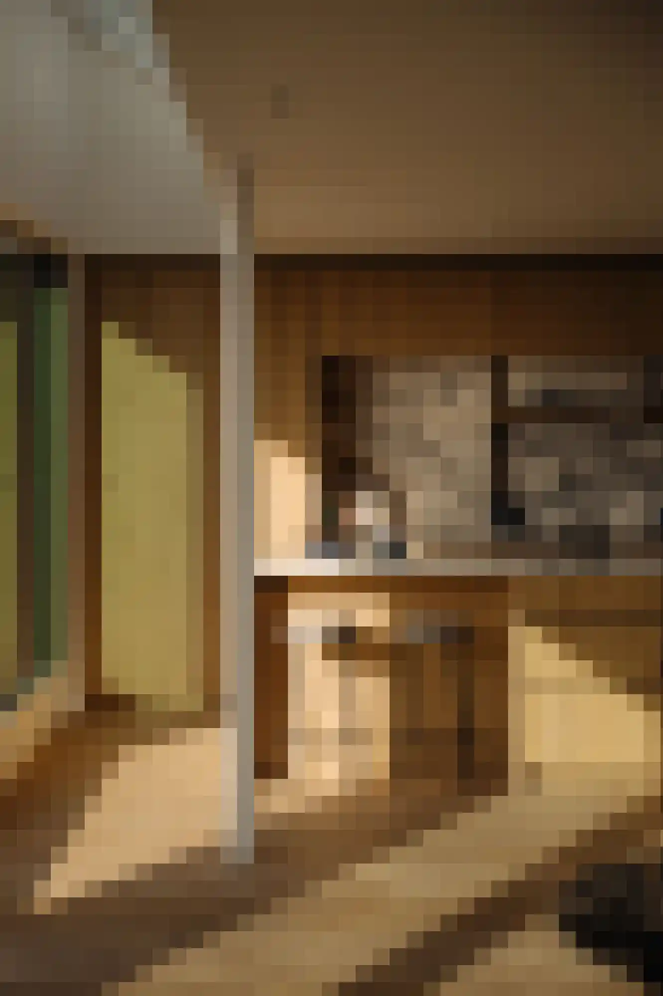 Valeriusterras 5 E Amsterdam thumbnail 4