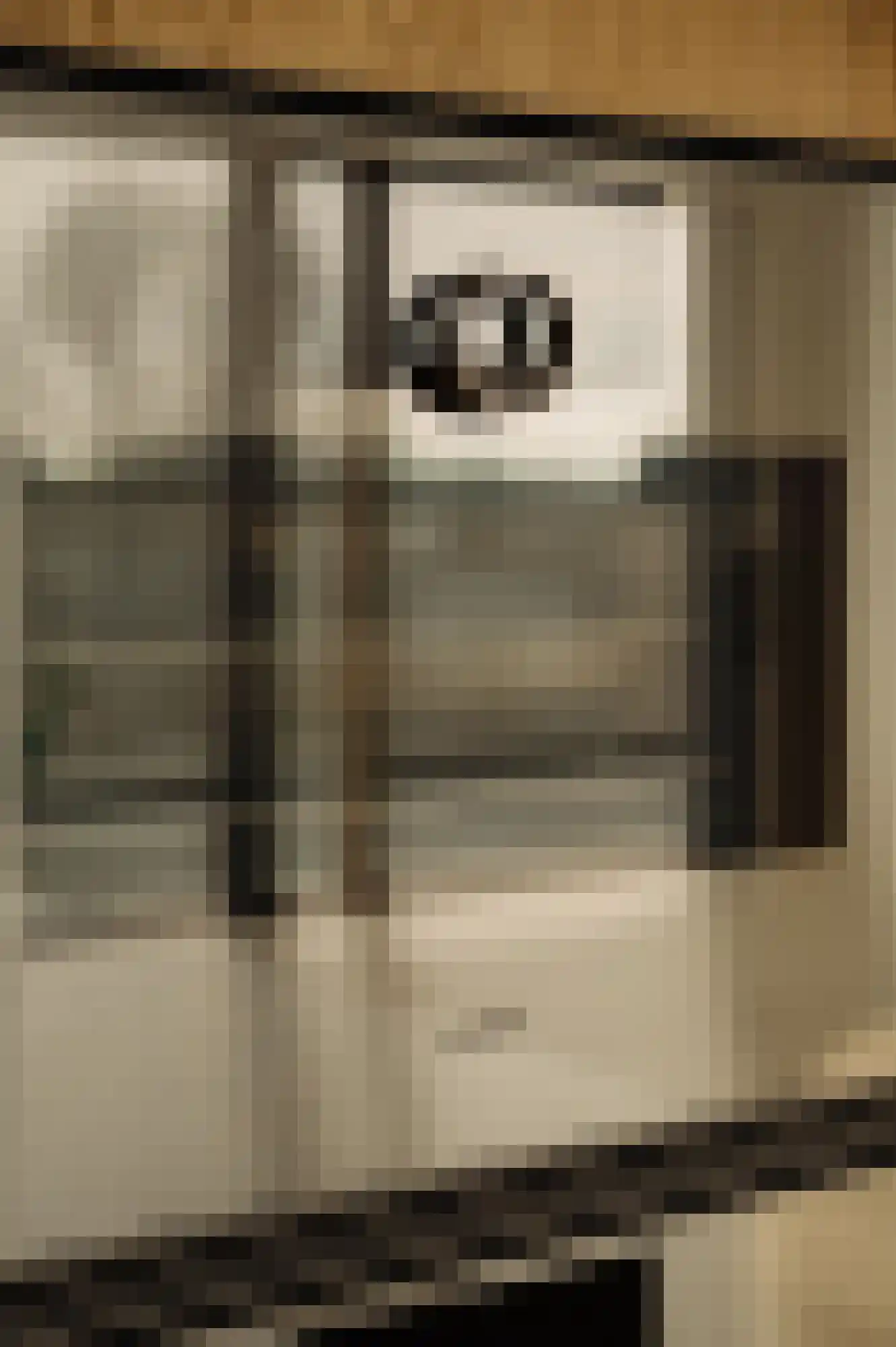 Valeriusterras 5 E Amsterdam thumbnail 7