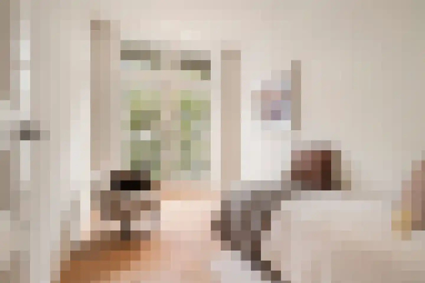 Valeriusterras 6 A Amsterdam thumbnail 14