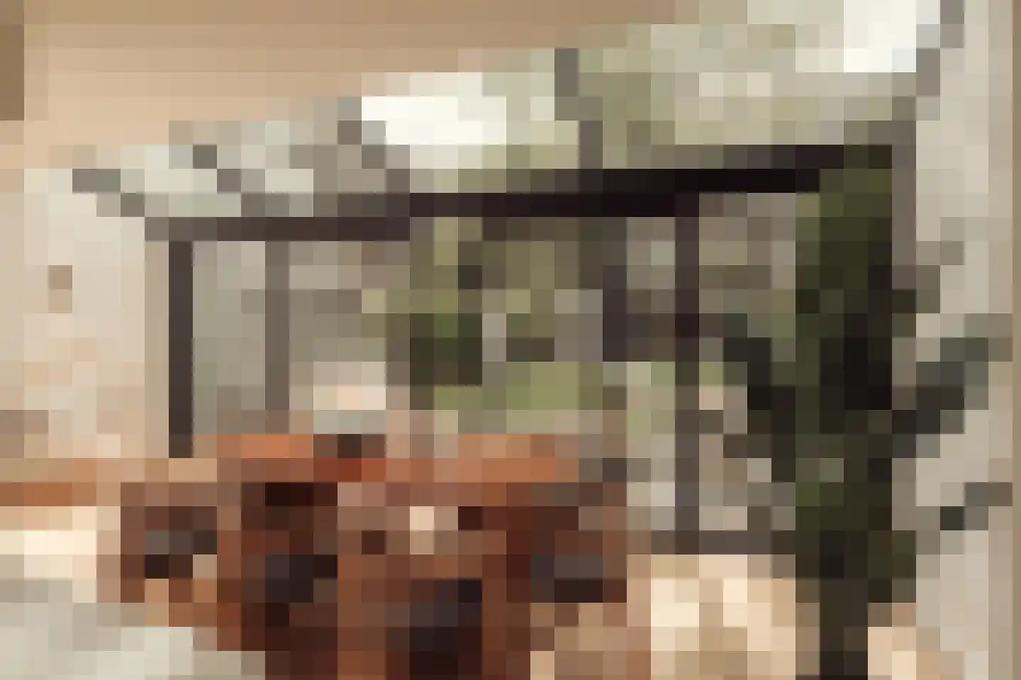 Valeriusterras 6 A Amsterdam thumbnail 4