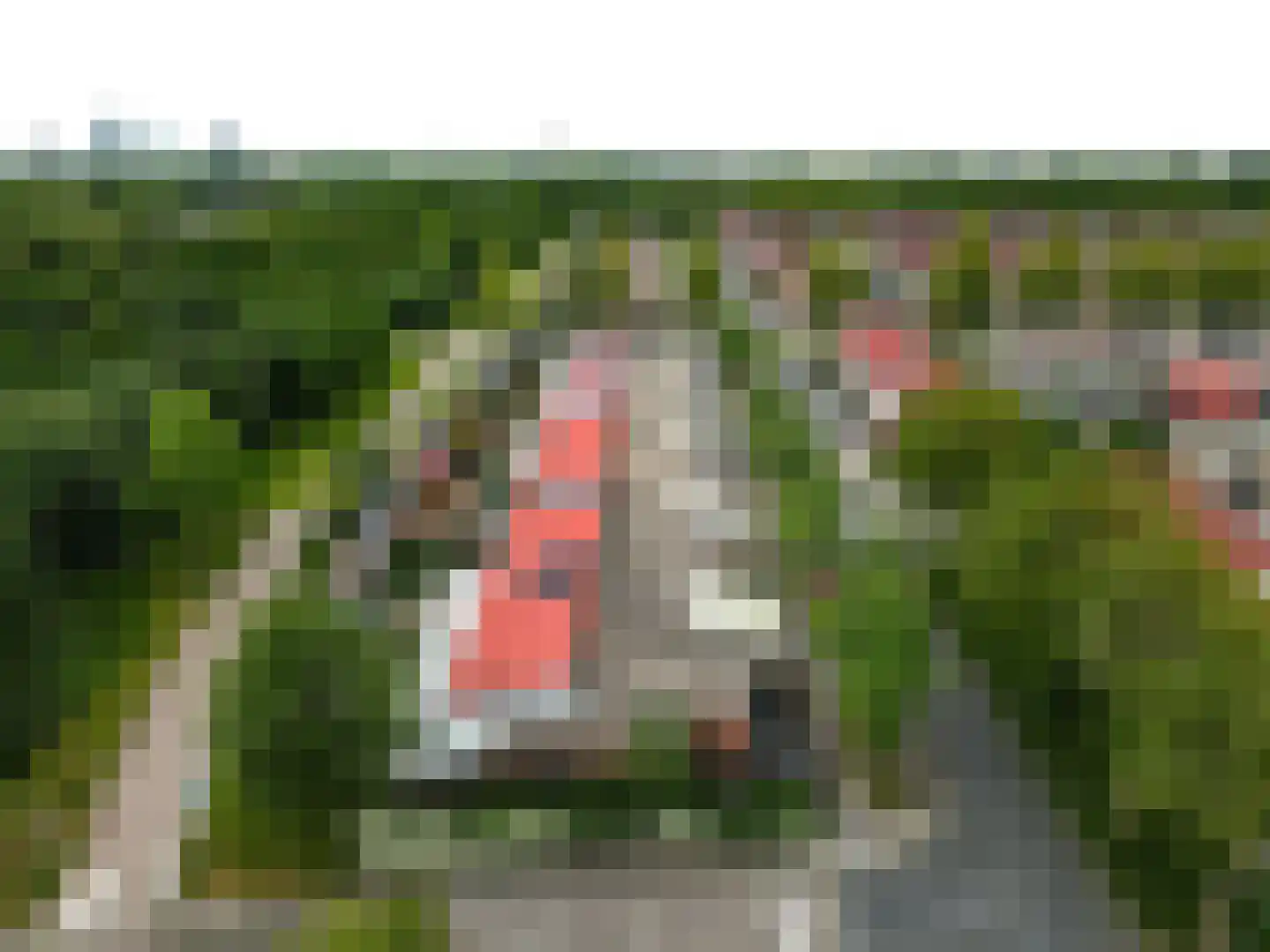 Valetaweg 22 Almere thumbnail 33