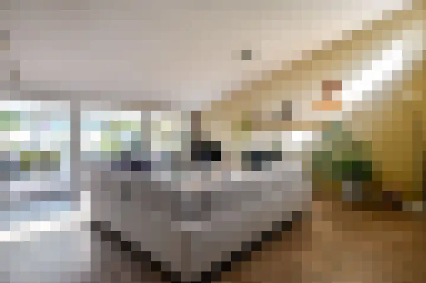 Valetaweg 22 Almere thumbnail 7