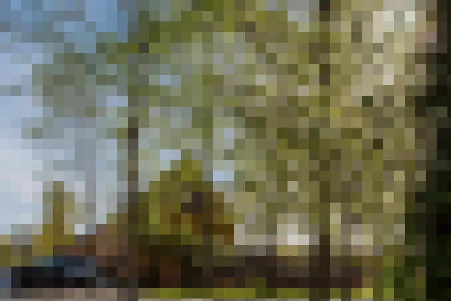 Valetaweg 62 Almere thumbnail 45
