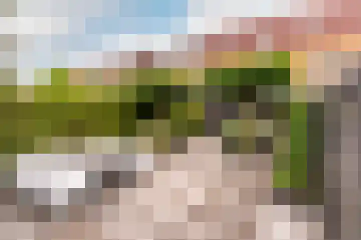 Valetaweg 94 Almere thumbnail 41