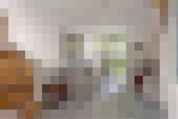 Valgaten 1 Veldhoven thumbnail 11