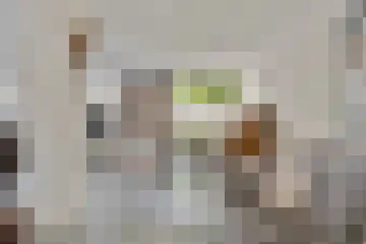 Valgaten 1 Veldhoven thumbnail 12