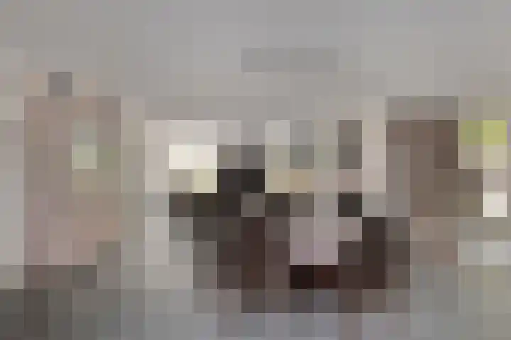 Valgaten 1 Veldhoven thumbnail 16