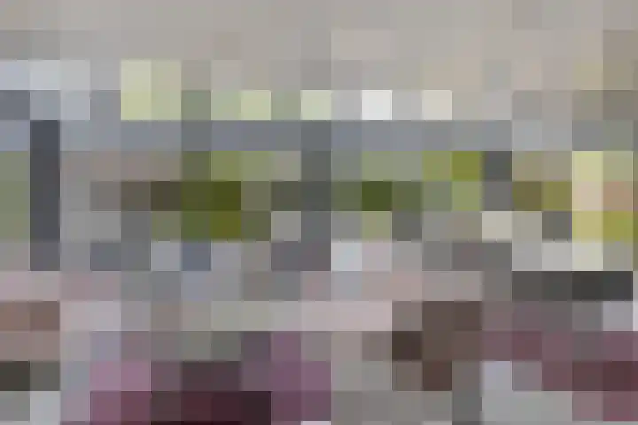 Valgaten 1 Veldhoven thumbnail 19