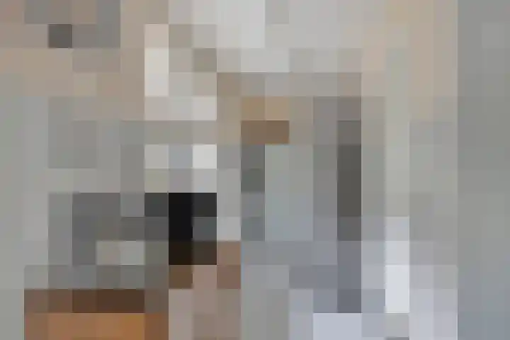 Valgaten 1 Veldhoven thumbnail 20