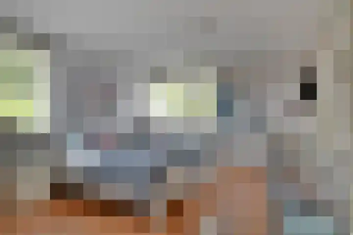 Valgaten 1 Veldhoven thumbnail 27