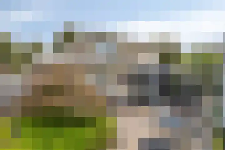 Valgaten 1 Veldhoven thumbnail 31