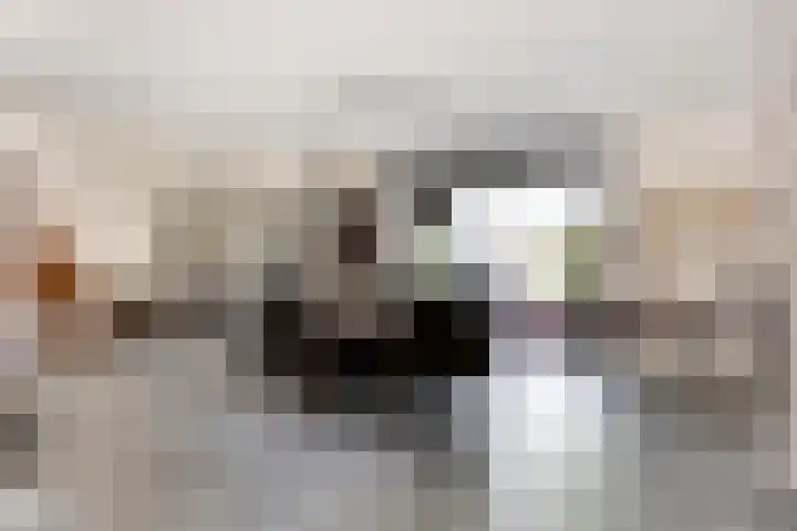 Valgaten 1 Veldhoven thumbnail 8