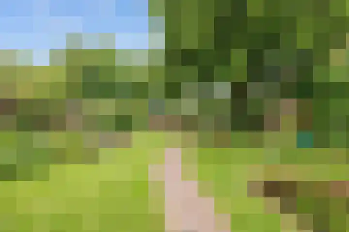 Valge 33 Leens thumbnail 47