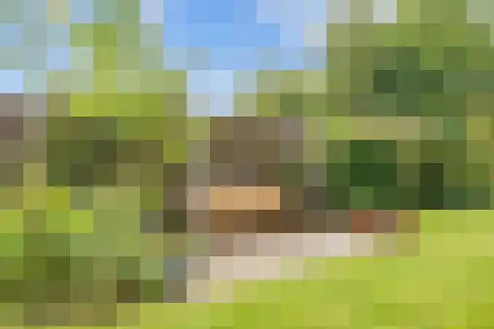 Valge 33 Leens thumbnail 48