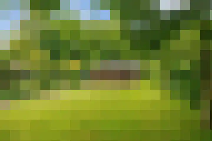 Valge 33 Leens thumbnail 49