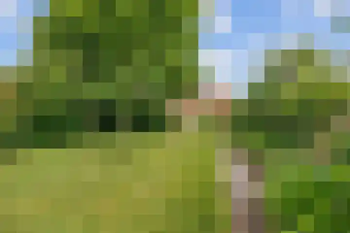 Valge 33 Leens thumbnail 50