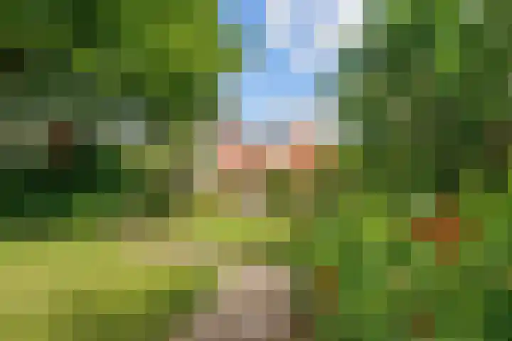 Valge 33 Leens thumbnail 51