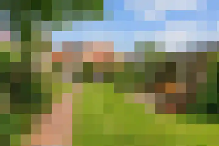 Valge 33 Leens thumbnail 52