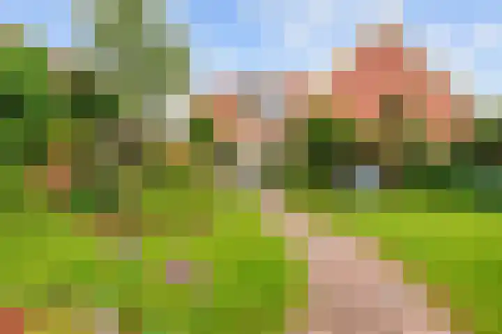 Valge 33 Leens thumbnail 53