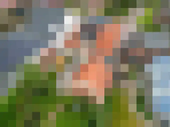 Valge 33 Leens thumbnail 58