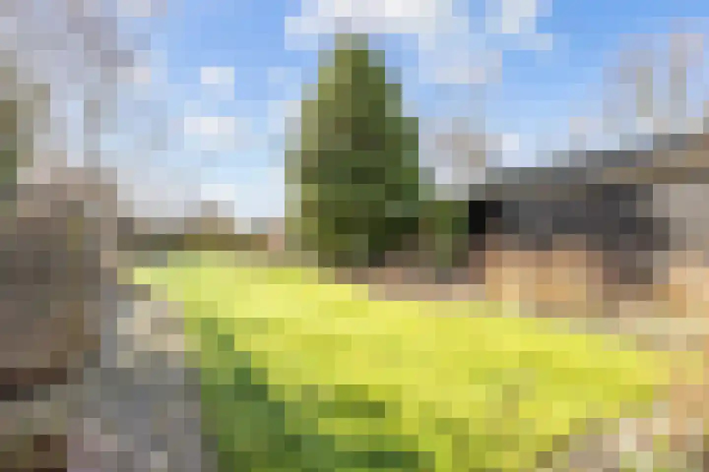Valge 7 Leens foto 2