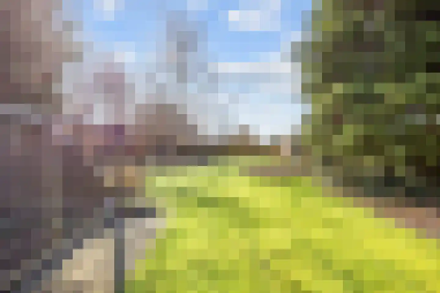 Valge 7 Leens thumbnail 28