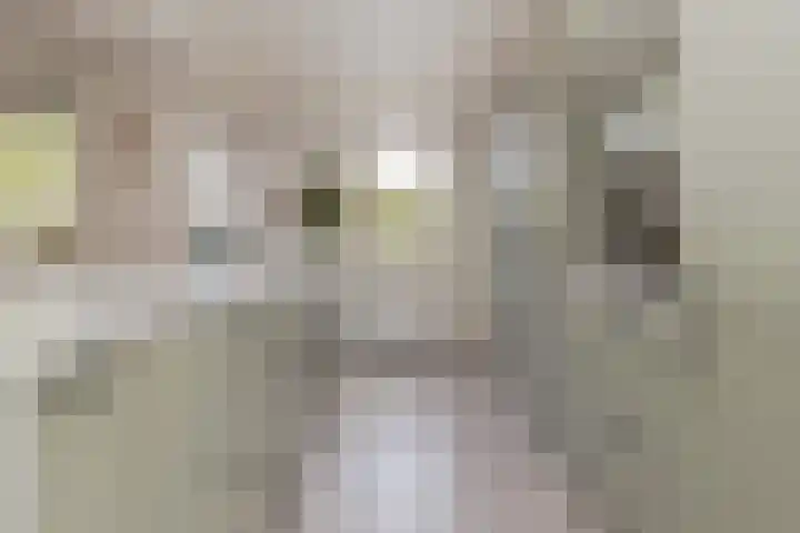 Valgeweg 18 Feerwerd thumbnail 16