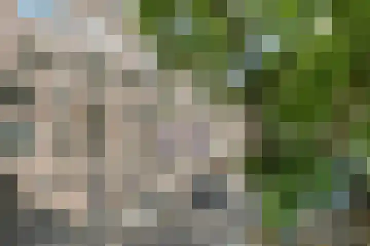 Valgeweg 18 Feerwerd foto 2