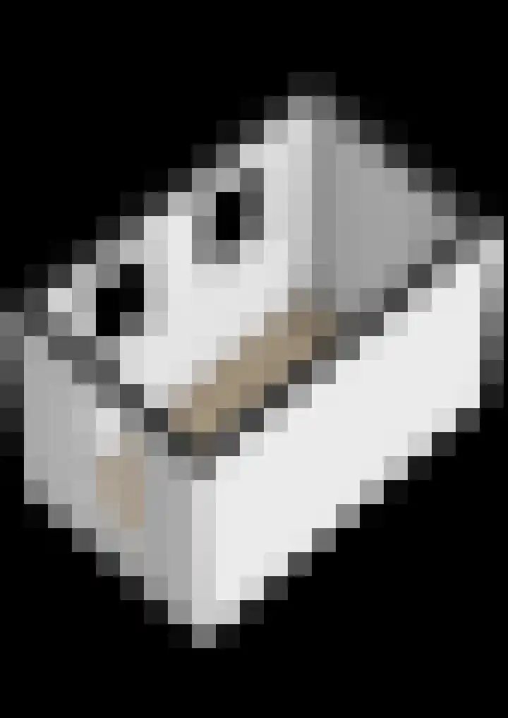 Valgeweg 18 Feerwerd thumbnail 31