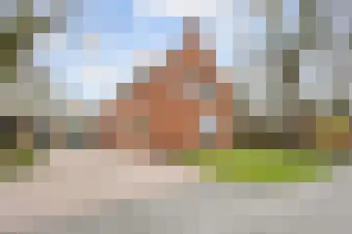 Valgeweg 8 dans Wetsinge