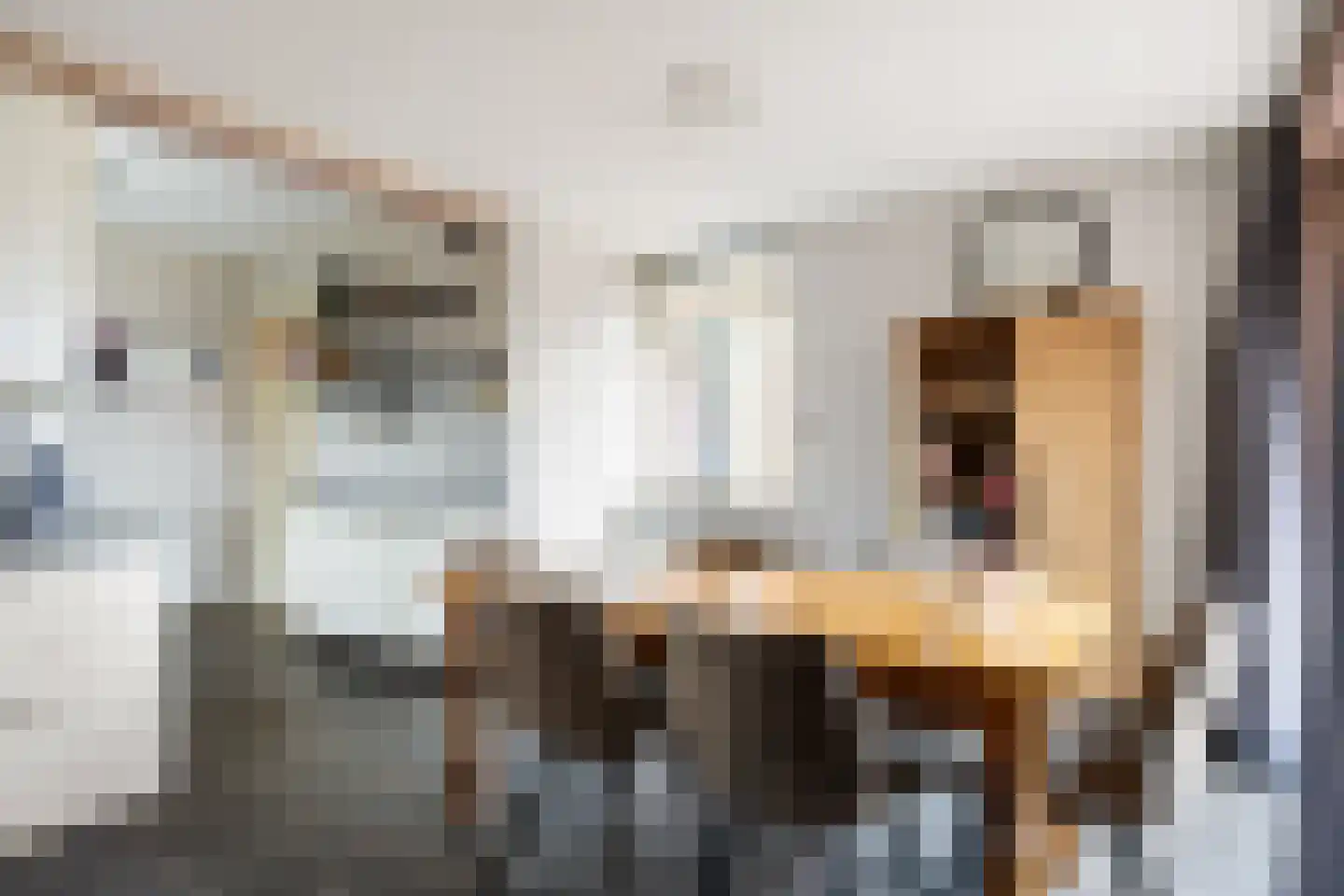 Valgeweg 8 Wetsinge thumbnail 18
