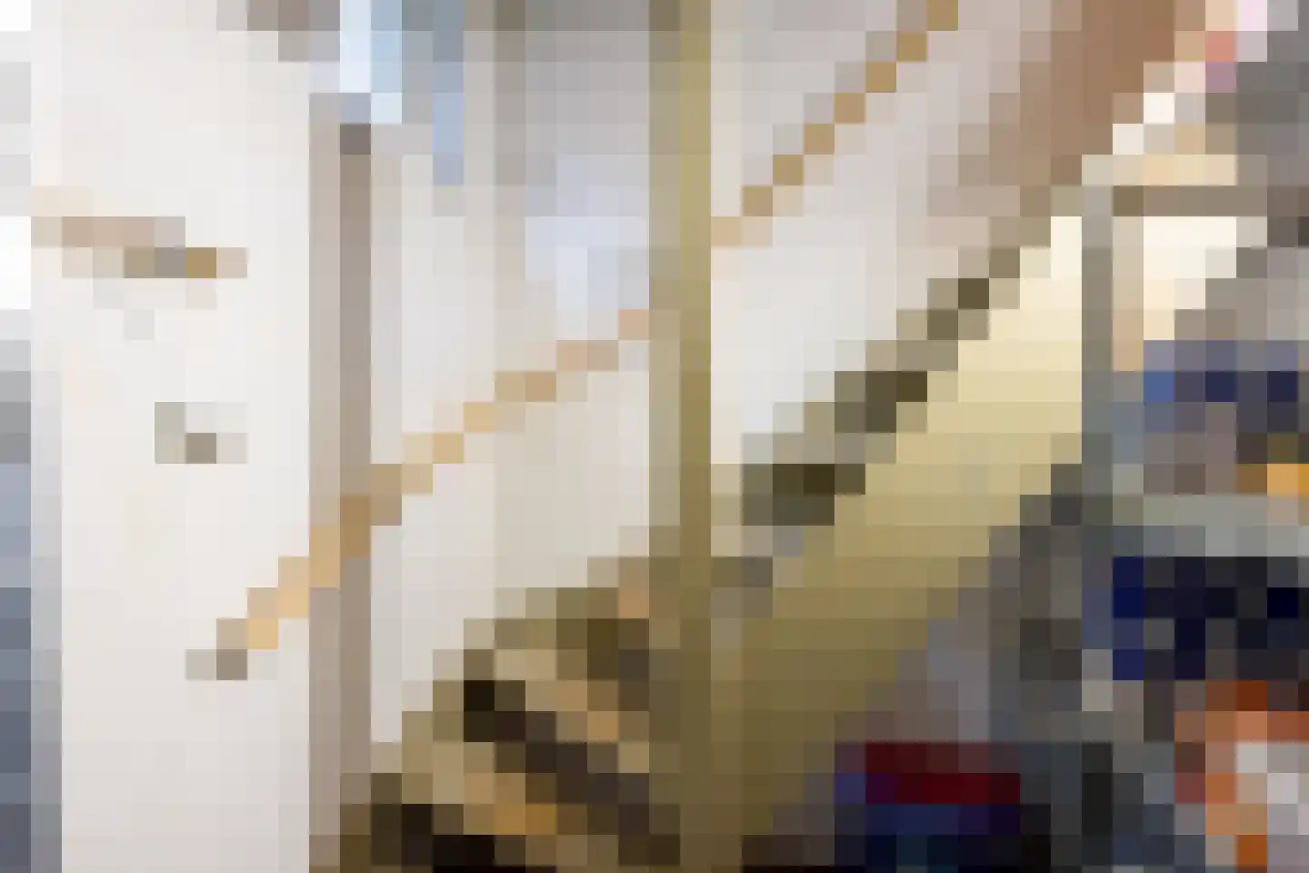 Valgeweg 8 Wetsinge thumbnail 19