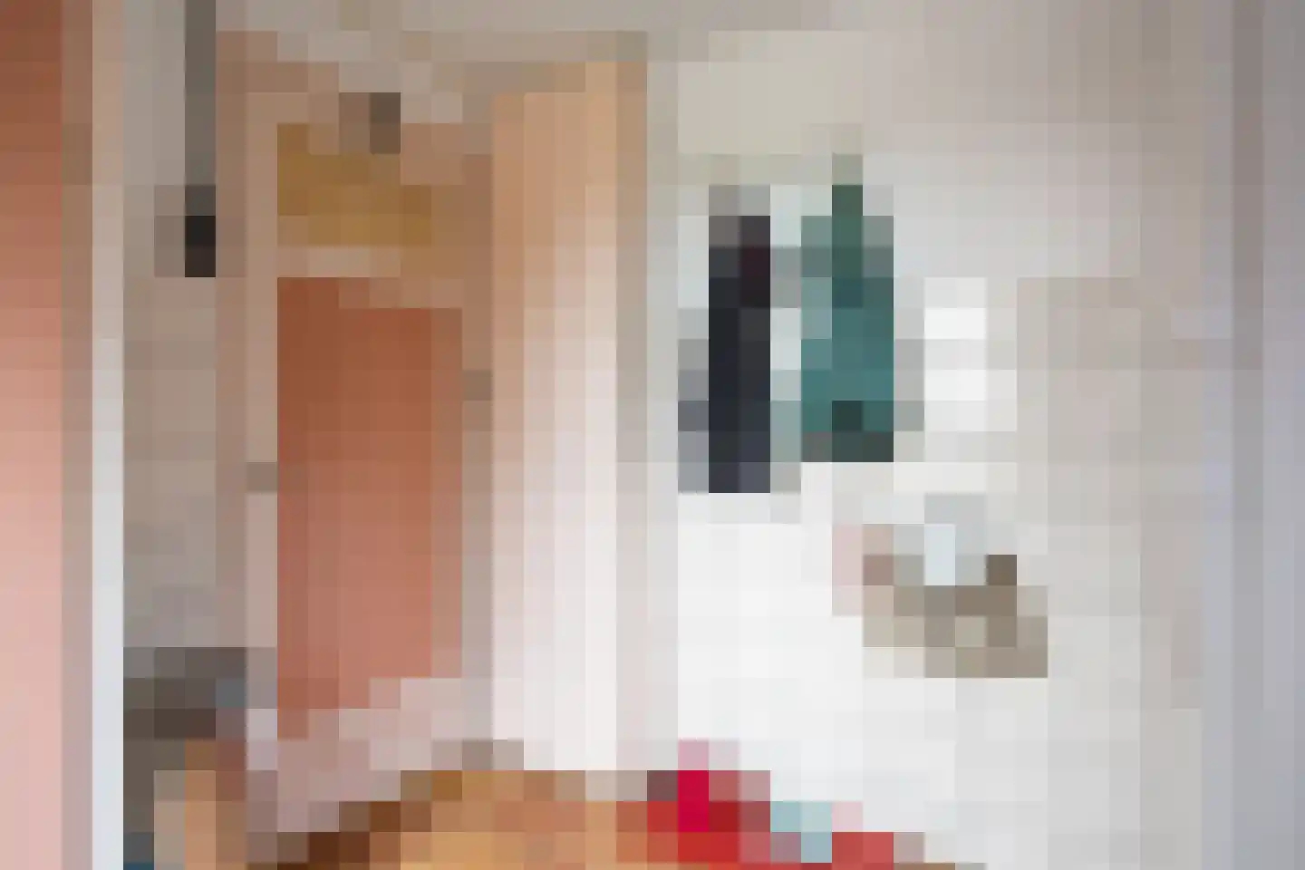 Valgeweg 8 Wetsinge thumbnail 21