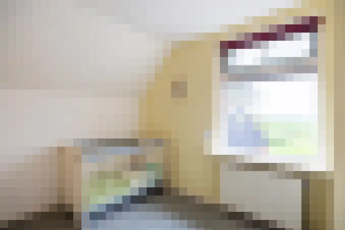 Valgeweg 8 Wetsinge thumbnail 28