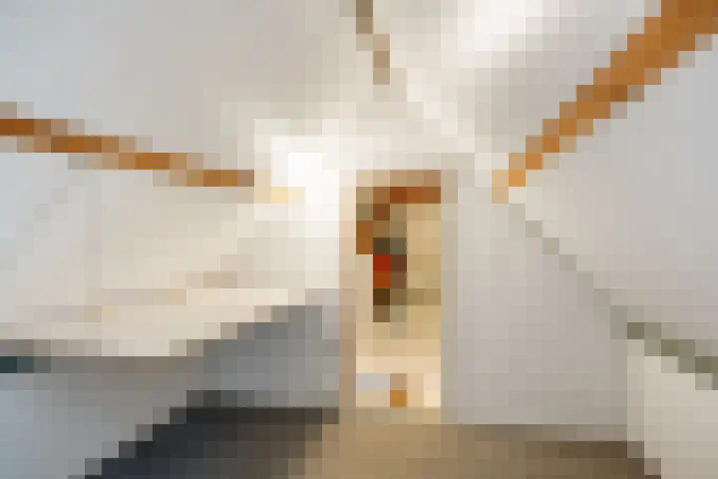 Valgeweg 8 Wetsinge thumbnail 30
