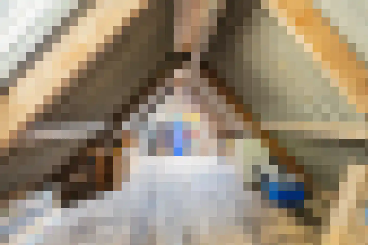 Valgeweg 8 Wetsinge thumbnail 39