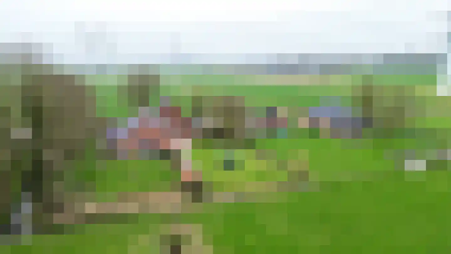 Valgeweg 8 Wetsinge thumbnail 5