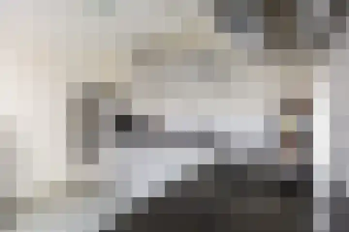 Valk 10 Bedum thumbnail 16