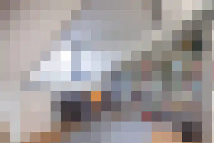 Valk 10 Bedum thumbnail 37