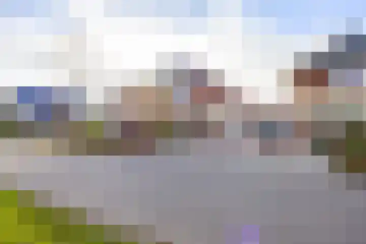 Valk 10 Bedum thumbnail 6