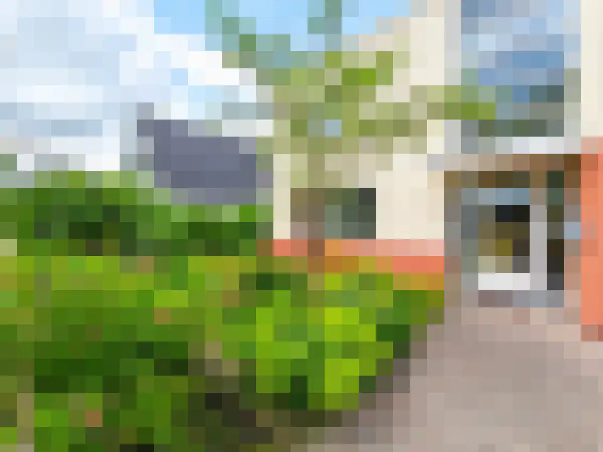 Valk 4 Bedum foto 2