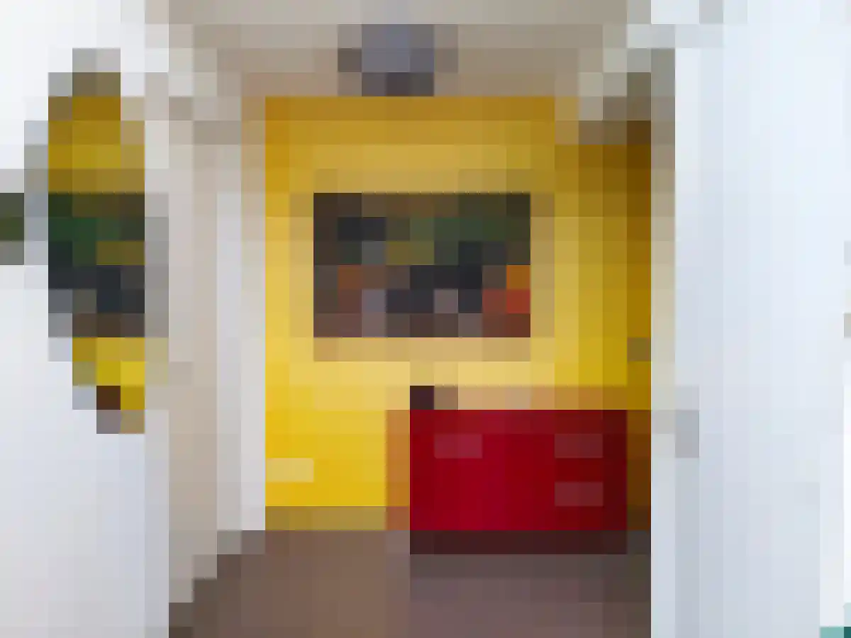 Valk 4 Bedum foto 3