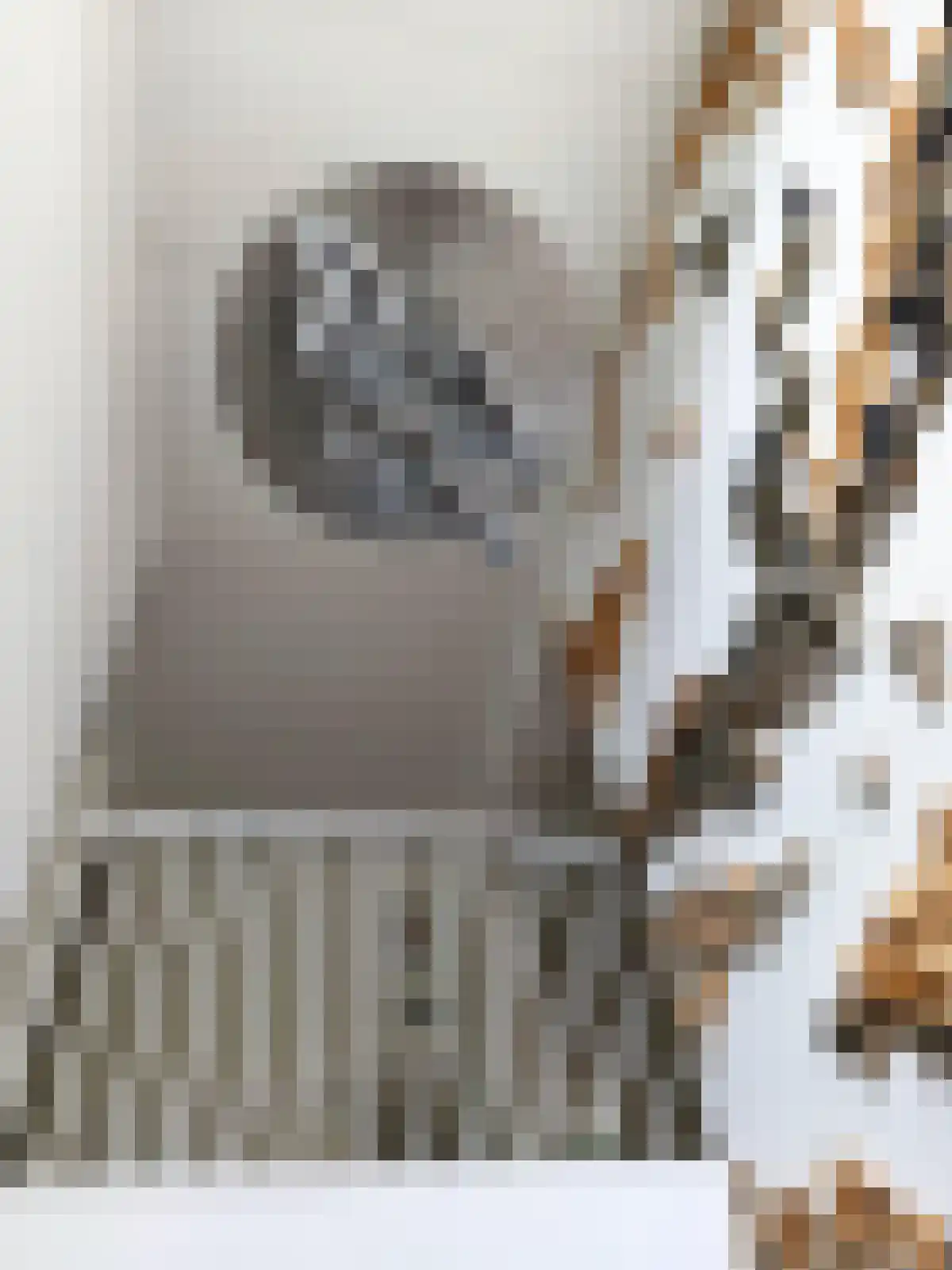Valk 4 Bedum thumbnail 5