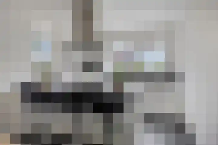 Valkappel 11 Lith thumbnail 10