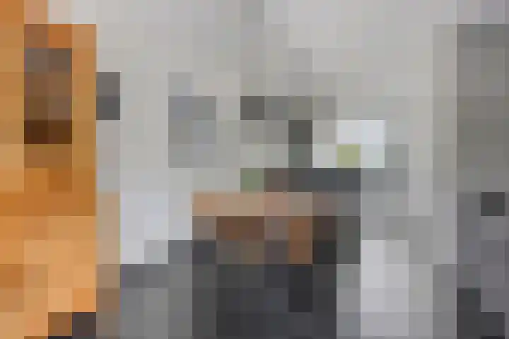 Valkappel 11 Lith thumbnail 15
